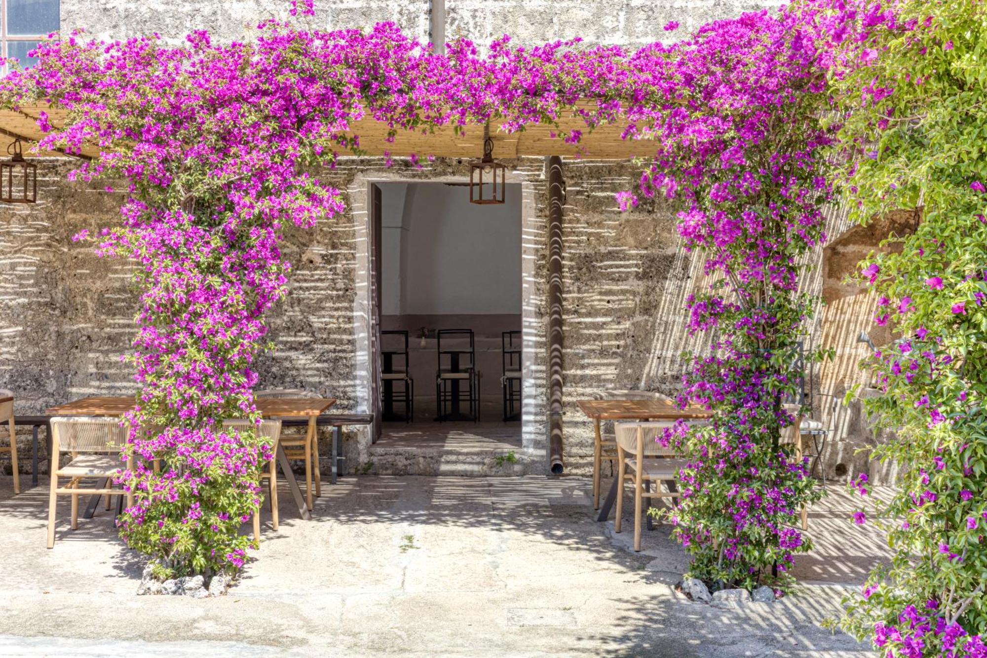Biomasseria Santa Lucia Alessano Εξωτερικό φωτογραφία