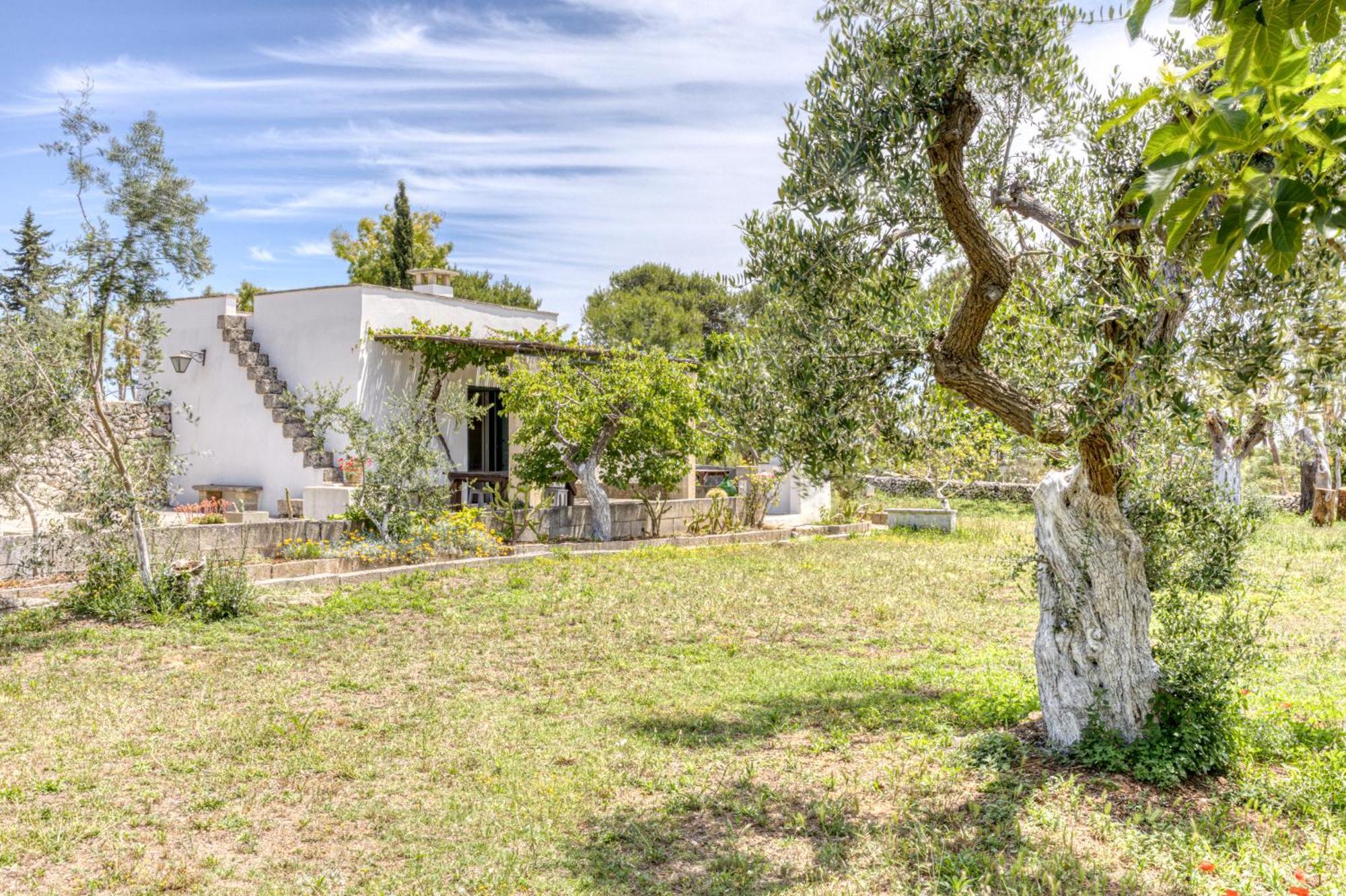 Biomasseria Santa Lucia Alessano Εξωτερικό φωτογραφία